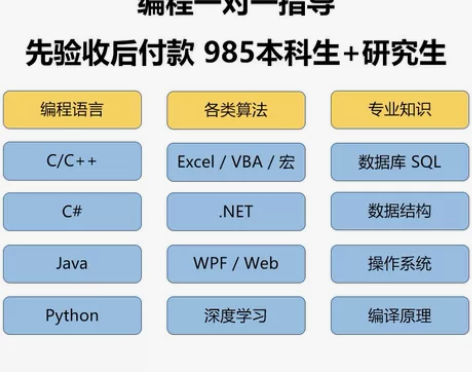 编程一对一指导 C++/C#/Python...