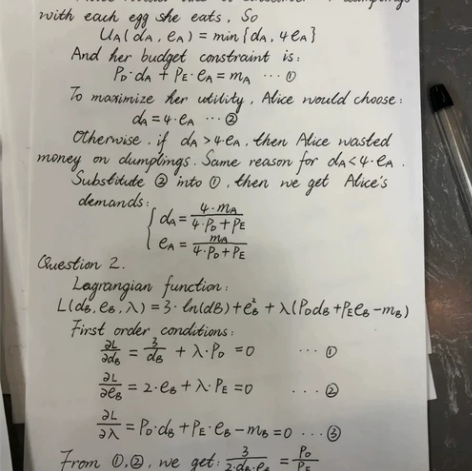 留学生辅导学习答疑，英文答疑金融经济/战略...