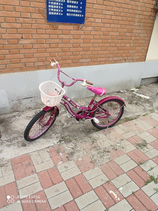 自家孩子的车子，孩子长大了。车子拿走就能骑...