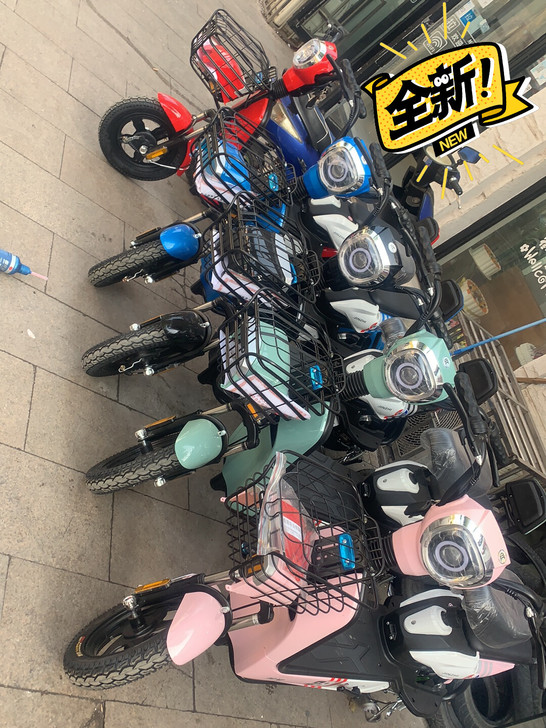 全新 方便实用的电动车 48V