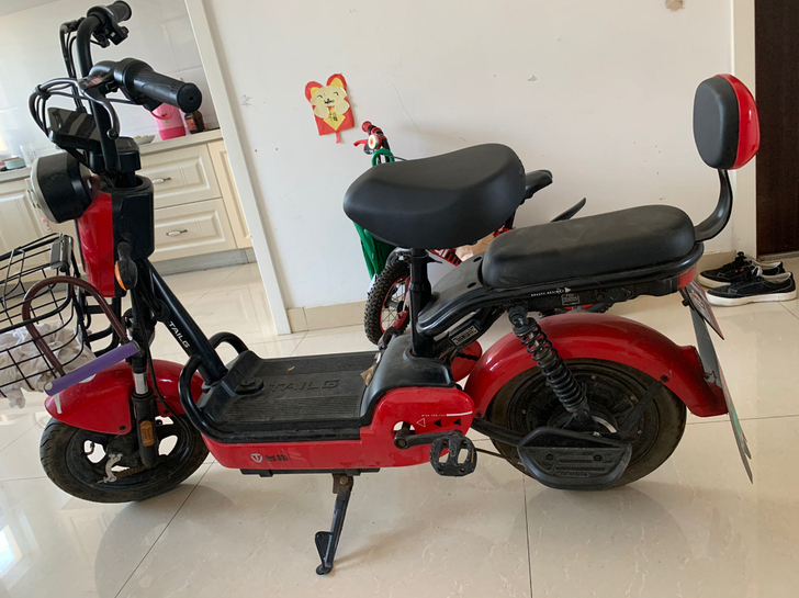 台铃电动车，一年半的车， 闲置了一年半了，...