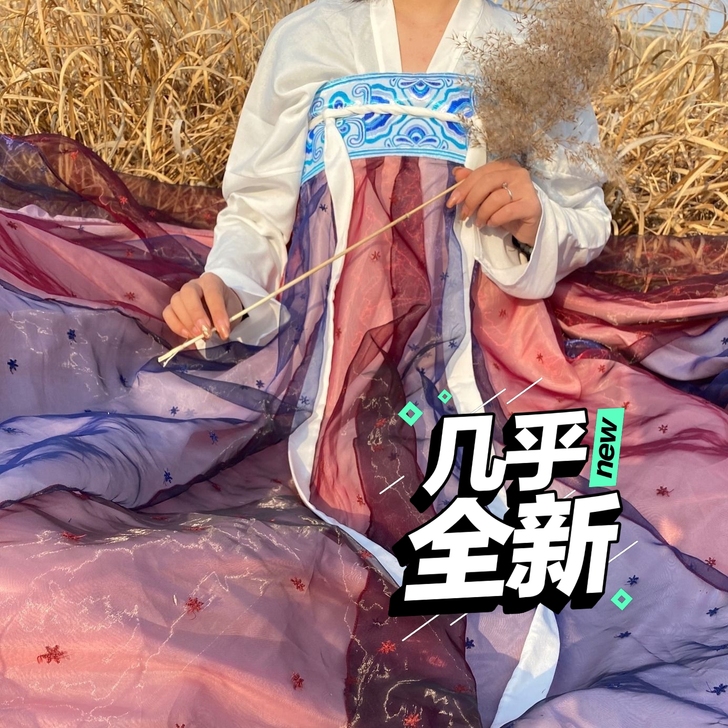 出社原创【星河赋】刺绣对襟6米摆下裙绣花齐...