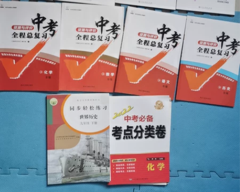 九年级下同步解析 化学 道德与法治 数学 ...