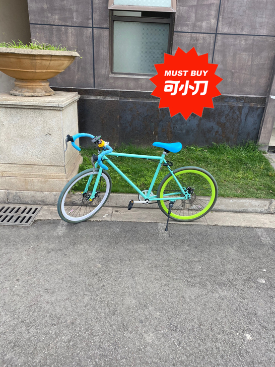 骑了一个月吧,没啥毛病,低价转让 可小刀