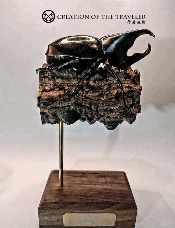 昆虫标本 行者造物 吉丁虫 昆虫摆件 Vi...