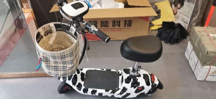 全新小海豚电动车可折叠迷你小型电瓶车