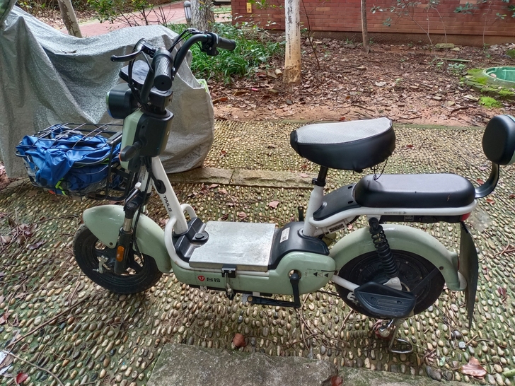 台铃电动车 小核桃-G浅绿色有牌照  30...