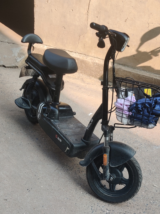 台铃电动小型自行车脚踏代步