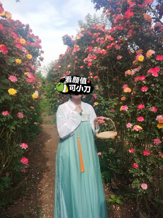 如梦霓裳 小乔  齐胸襦裙 L码，穿过一次...