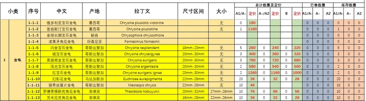 甲虫标本 兜虫 锹甲 天牛 蜣螂 金龟 吉丁