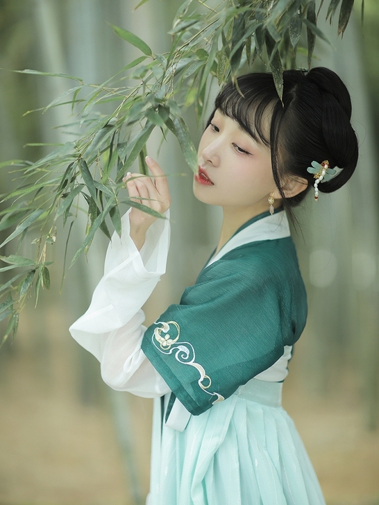 【十三余 小豆蔻儿】[昭姬] 齐胸衫裙绣花...