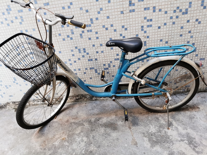 自行车，轮胎要换，其它功能完好，万江爱迪花...