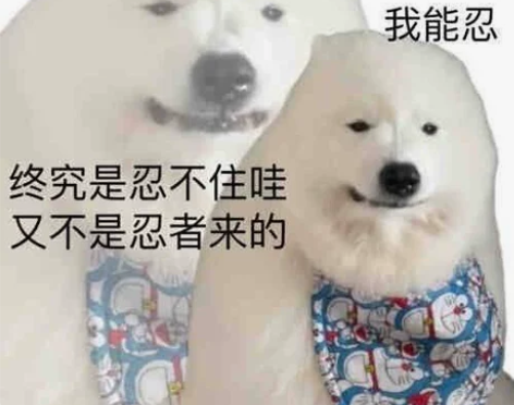 初中英语，高中英语，大学英语，四级英语，六...