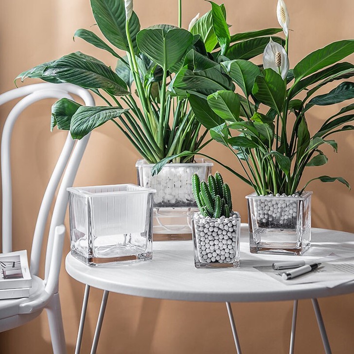 简约水培花盆正方形玻璃花瓶透明绿萝水养植物...