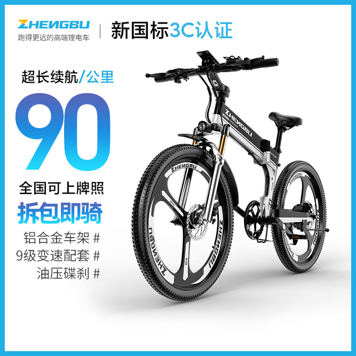 ZB/正步 电动自行车