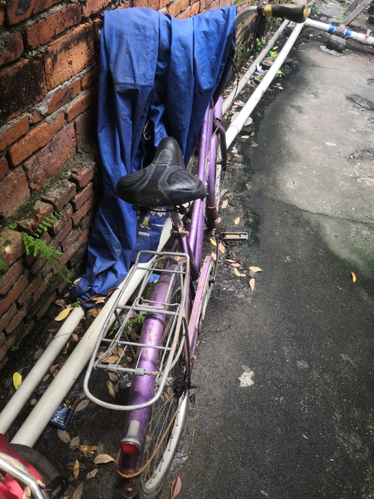 都骑电动车了，自行车放很久了
