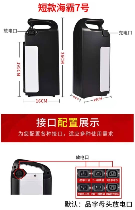 台铃爱玛愉途松吉款48伏12安时电动车锂电...
