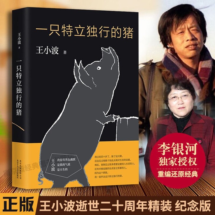 沉默的大多数 纪念版 王小波杂文精选集 一...