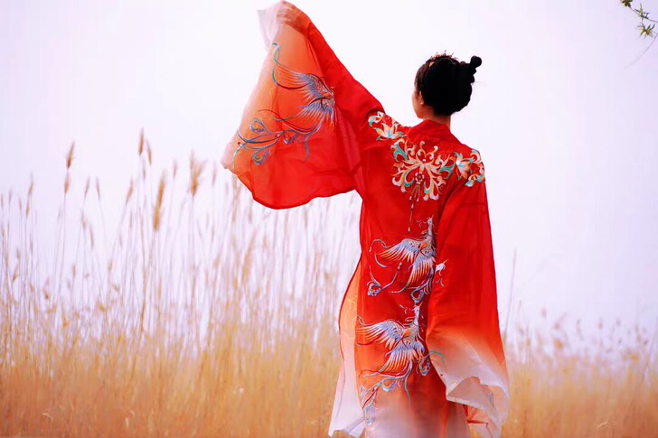 如梦霓裳汉服女装大袖衫[胡云谣]重工凤凰刺...