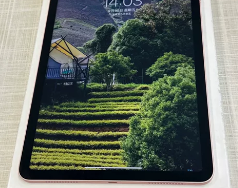 99新Apple/苹果 iPad Air4...