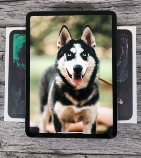 靓机iPad  Air4代  （2020款...