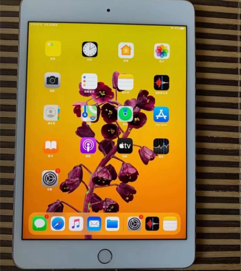 ipadmini4考研网课游戏追剧 出ip...