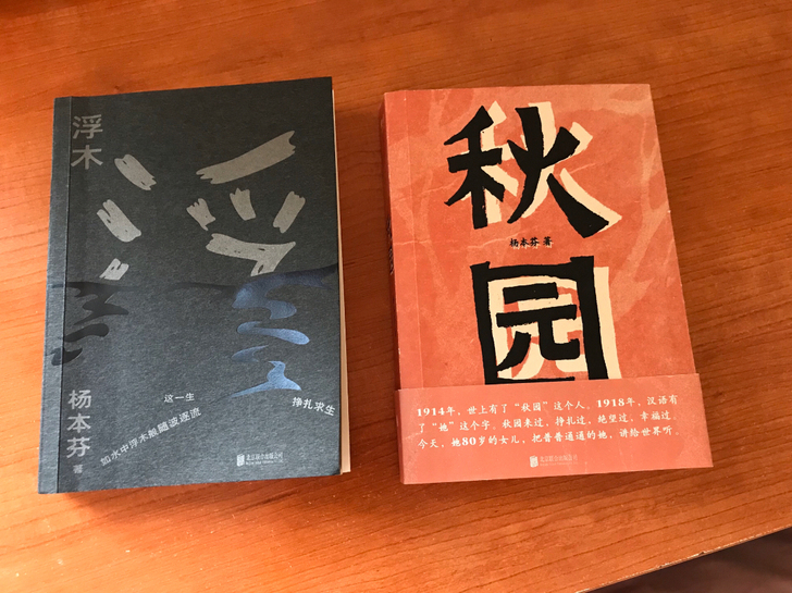 《秋园》《浮木》杨本芬 文学中国现当代随笔...