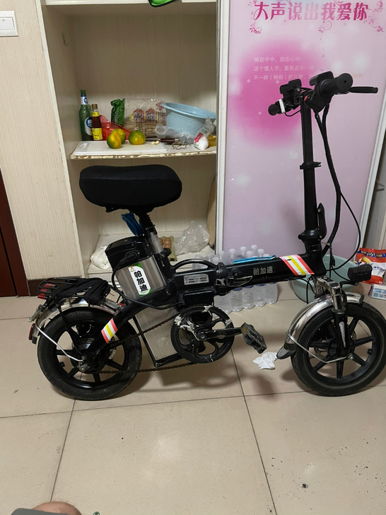 折叠电动车。帕加迪电瓶48-25a可以续航...