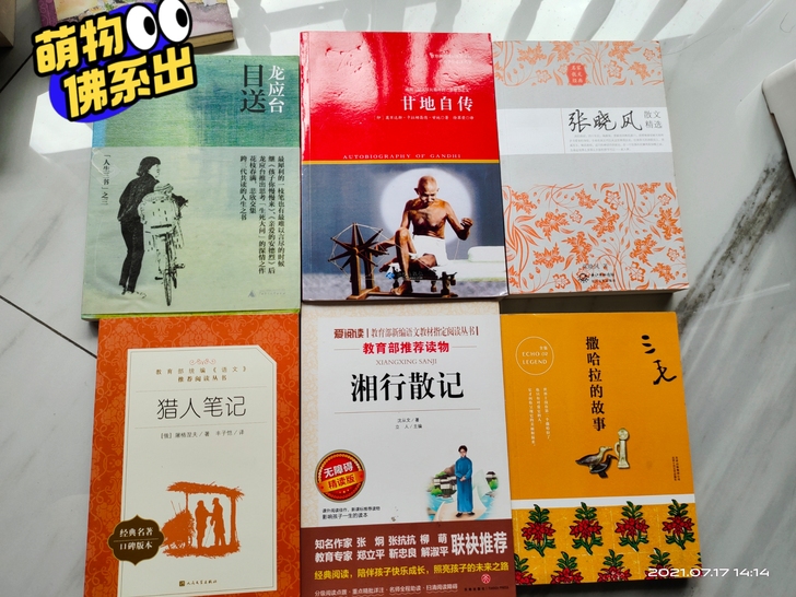 全是女儿闲置的中学阶段老师推荐阅读的课外书...