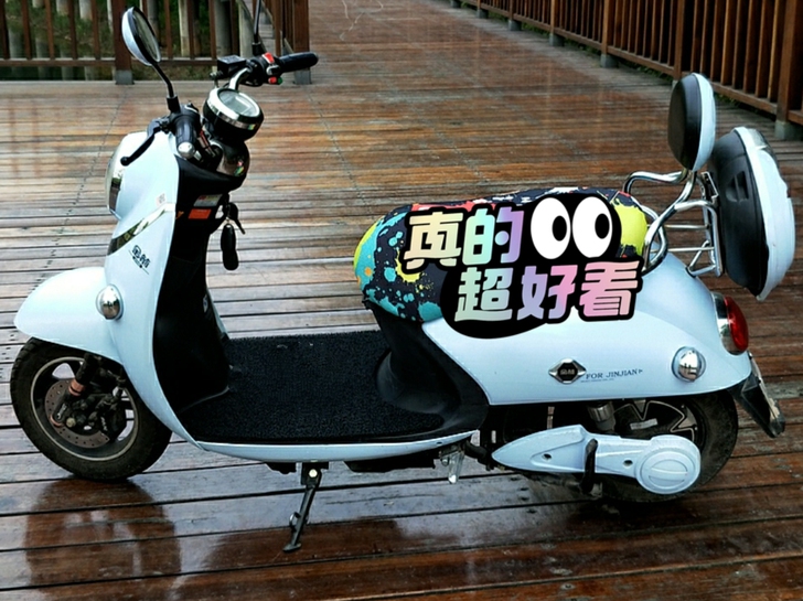 五羊电动车成人60V电瓶车  男女小型电动...
