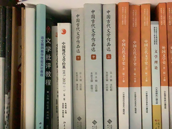 中国古代文学作品选、外国文学史全套