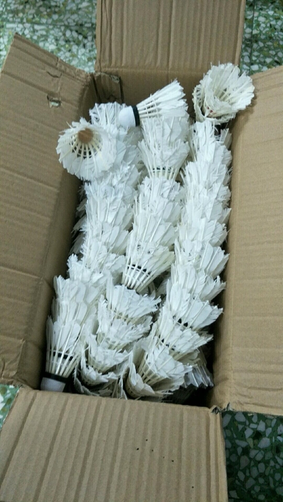羽毛球训练