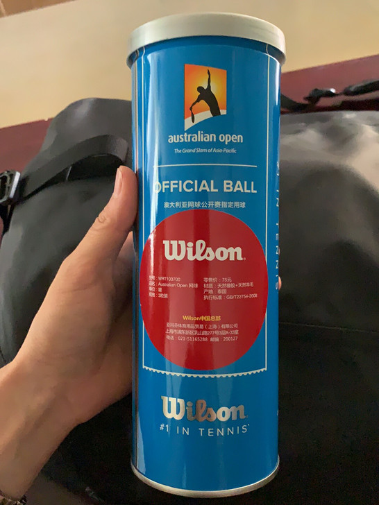 威尔逊绝版网球
