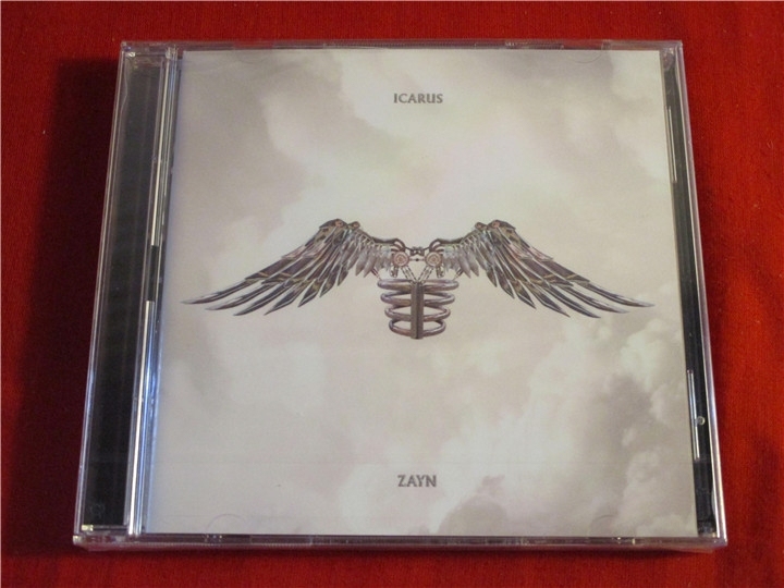 ZAYN 泽恩 Icarus Falls ...