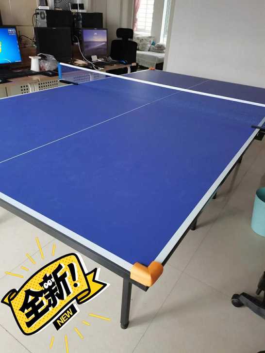 捡漏了！全新室内乒乓球台家用乒乓球桌可折叠...