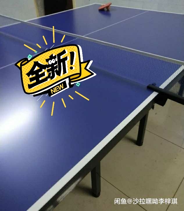 可折叠！国标尺寸！乒乓球桌球台成人室内标准...