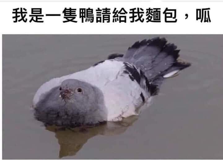 求购多肉君鬼滅之刃服产屋敷輝利哉產屋敷雛衣...