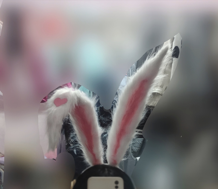 爱丽丝兔耳定制cos妲己