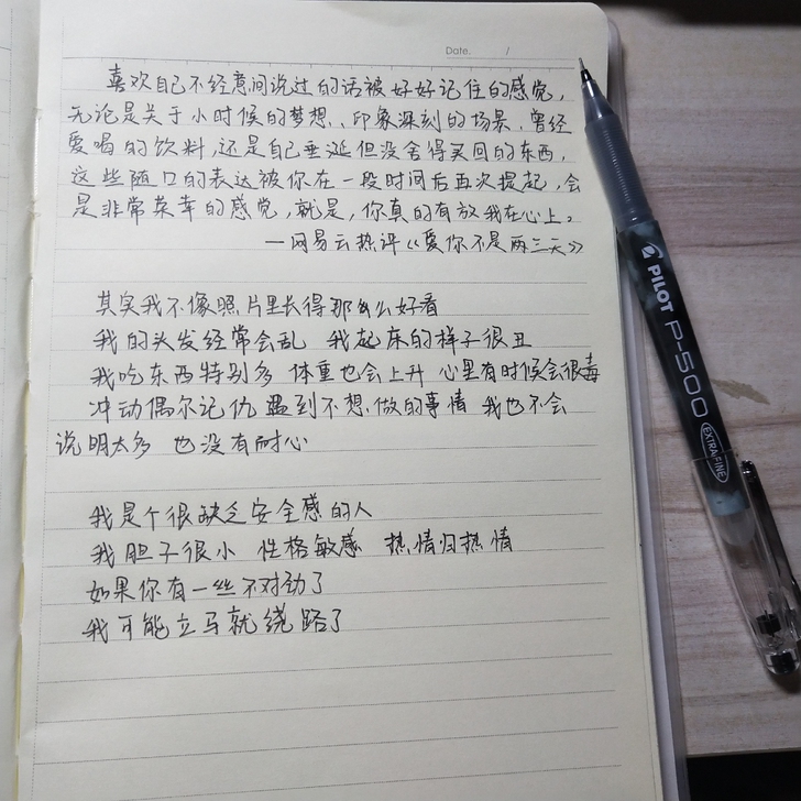 【纯手写  手抄 】