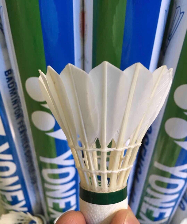 一桶12只全新尤尼克斯羽毛球，清库存，耐打...