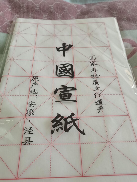 安徽宣纸米字格纸毛笔书法培训专用纸初学者练...