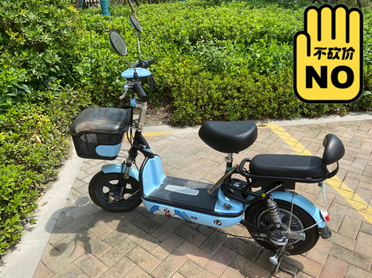 绿源电动车48V电瓶车可爱蓝卡通