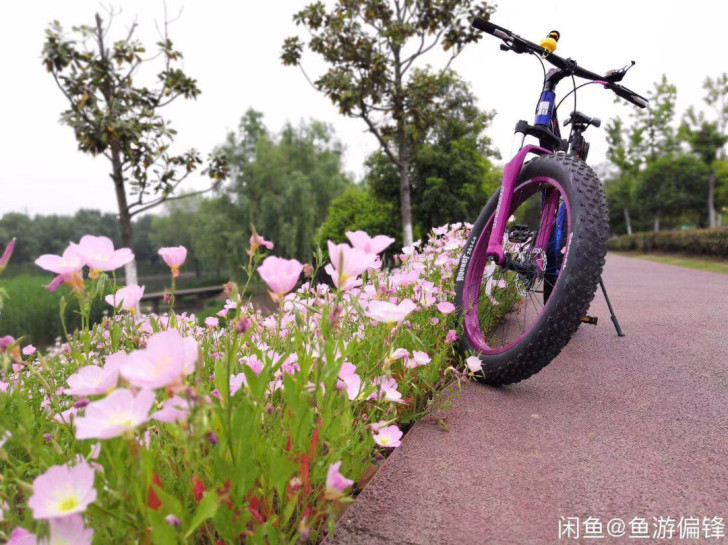 捷安特洛克人雪地自行车，胖 淘宝还是咸鱼出...