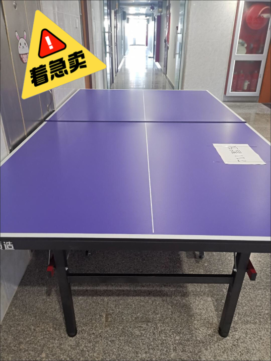 【全新包邮】台球桌乒乓球台家用室内可折叠移...