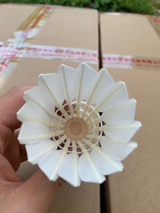 #节后鱼生#全新耐打羽毛球 胜利金黄5黑威...