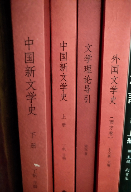 《外国文学史》西方卷 王立新