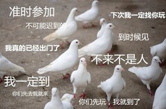 收cos服