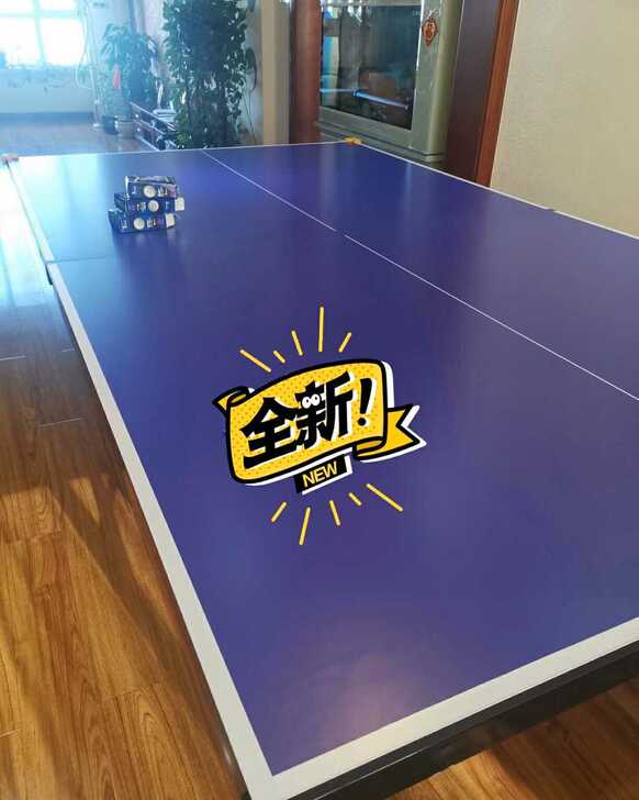 亏本处理】几乎没用过的乒乓球桌弹性好质量好...