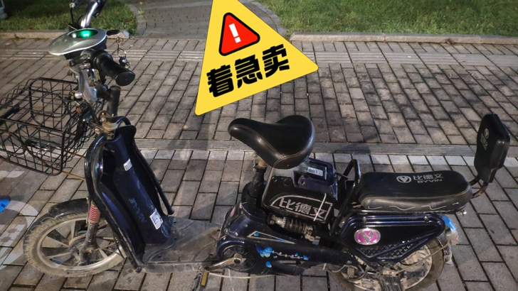 电动车,比德文,轮胎后轮8月初才换的,电瓶...