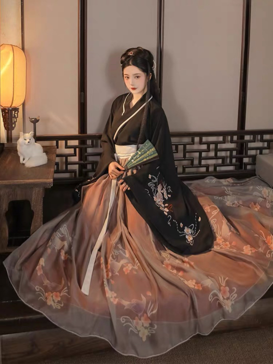 全新爆款汉服，一次未穿，未拆封，本来买给女...